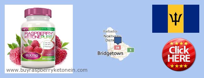 Où Acheter Raspberry Ketone en ligne Barbados
